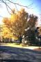 Missouri Moberly